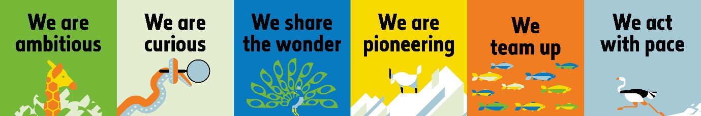 A picture containing six coloured boxes with the words: We are ambitious, We are curious, We share the wonder, We are pioneering, We team up, We act with pace